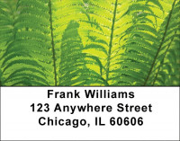 Branching Out Address Labels | LBZNAT-40
