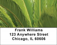 Branching Out Address Labels | LBZNAT-40