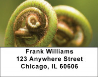 Branching Out Address Labels | LBZNAT-40