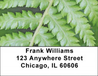 Ferns Address Labels | LBZNAT-42