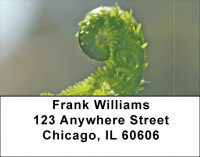 Ferns Address Labels | LBZNAT-42