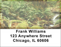 Fern Forrest Address Labels | LBZNAT-43