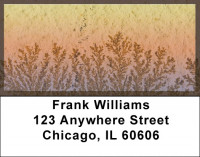 Fern Fossils Address Labels | LBZNAT-44
