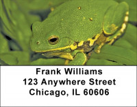 Fern Frogs Address Labels | LBZNAT-45