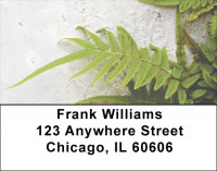 Fern On Walls Address Labels | LBZNAT-46