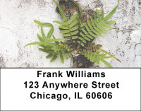 Fern On Walls Address Labels | LBZNAT-46