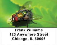Fern With Insects Address Labels | LBZNAT-49