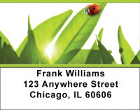 Enchanted Greenery Address Labels | LBZNAT-51
