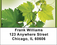 Simply Green Address Labels | LBZNAT-52