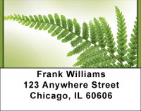 Simply Green Address Labels | LBZNAT-52