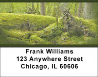Mossy Oak Address Labels | LBZNAT-53