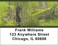 Mossy Oak Address Labels | LBZNAT-53