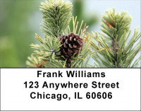 Pinecones Address Labels | LBZNAT-54