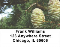 Pinecones Address Labels | LBZNAT-54