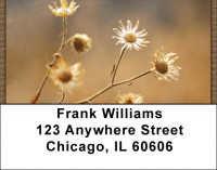 Dried Flowers Address Labels | LBZNAT-57