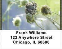 Dried Flowers Address Labels | LBZNAT-57
