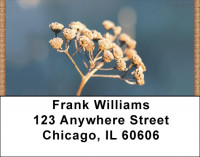 Dried Flowers Address Labels | LBZNAT-57