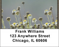 Dried Flowers Address Labels | LBZNAT-57