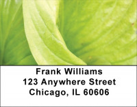 Foliage Abstract Address Labels | LBZNAT-60