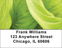 Foliage Abstract Address Labels | LBZNAT-60