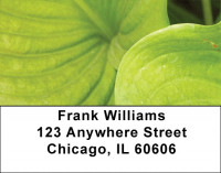 Foliage Abstract Address Labels | LBZNAT-60