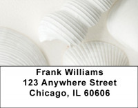 Perfectly White Shells Address Labels | LBZNAT-61
