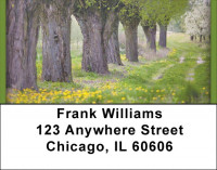 Trees In Springtime Address Labels | LBZSCE-14