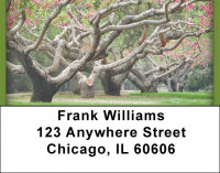 Trees In Springtime Address Labels | LBZSCE-14