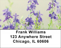 Wildflowers In Bloom Address Labels | LBZSCE-15
