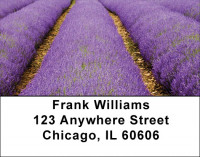 Fields Of Lavender Address Labels | LBZSCE-16