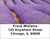 Fields Of Lavender Address Labels | LBZSCE-16