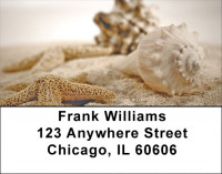 Beach Treasures Address Labels | LBZSCE-26
