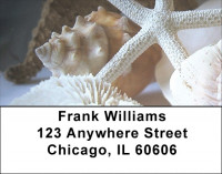 Beach Treasures Address Labels | LBZSCE-26