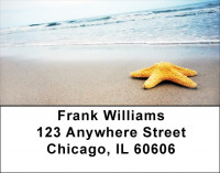 Beachy Blue Address Labels | LBZSCE-27