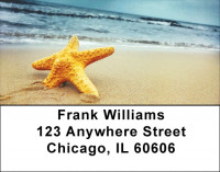 Beachy Blue Address Labels | LBZSCE-27