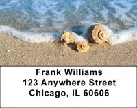 Beachy Blue Address Labels | LBZSCE-27