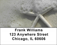 Shells In Taupes and Sage Address Labels | LBZSCE-30