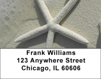 Shells In Taupes and Sage Address Labels | LBZSCE-30