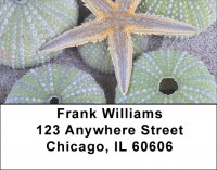 Seashells By The Seashore Address Labels | LBZSCE-63