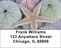 Seashells By The Seashore Address Labels | LBZSCE-63