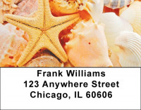 Seashells By The Seashore Address Labels | LBZSCE-63