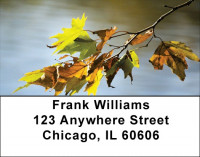 Falling Leaves On Water Address Labels | LBZSCE-64