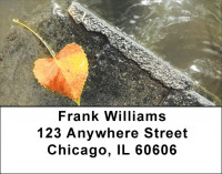Falling Leaves On Water Address Labels | LBZSCE-64
