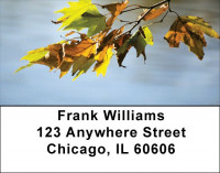 Falling Leaves On Water Address Labels | LBZSCE-64