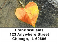 Falling Leaves On Water Address Labels | LBZSCE-64
