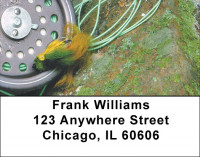 A Perfect Day Address Labels | LBZSPO-35