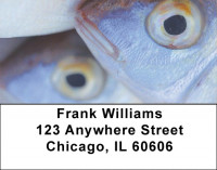 Trout On Ice Address Labels | LBZSPO-38