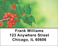 Holly On Pastels Address Labels | LBZXMS-02