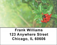 Holly With Greenery Address Labels | LBZXMS-03