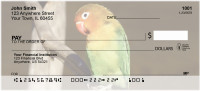 Parrot Party Personal Checks | QBA-51